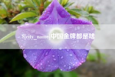 迪庆中国金牌都是啥