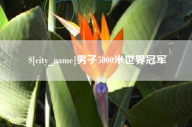 迪庆男子5000米世界冠军