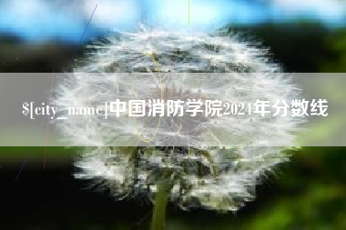 迪庆中国消防学院2024年分数线