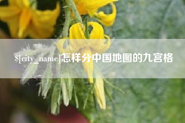 迪庆怎样分中国地图的九宫格