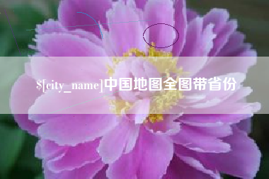 迪庆中国地图全图带省份