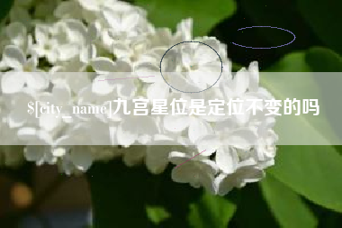 迪庆九宫星位是定位不变的吗