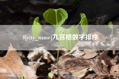 迪庆九宫格数字排序