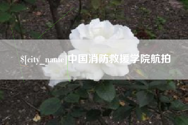 迪庆中国消防救援学院航拍