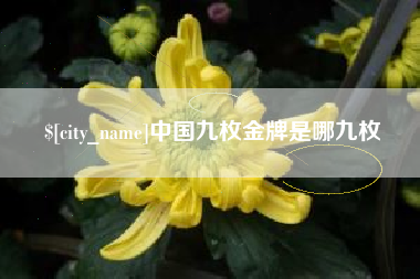迪庆中国九枚金牌是哪九枚