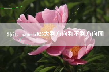 迪庆2025大利方向和不利方向图