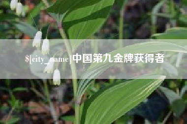 迪庆中国第九金牌获得者