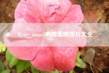 迪庆中国金牌图片大全