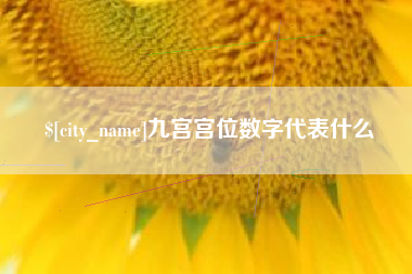 迪庆九宫宫位数字代表什么