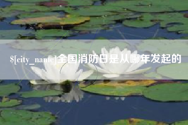 迪庆全国消防日是从哪年发起的