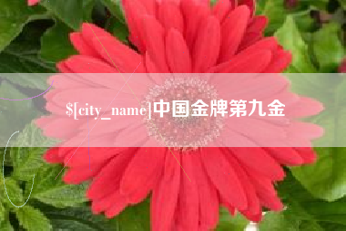 迪庆中国金牌第九金