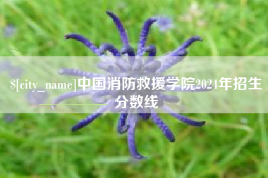 迪庆中国消防救援学院2024年招生分数线