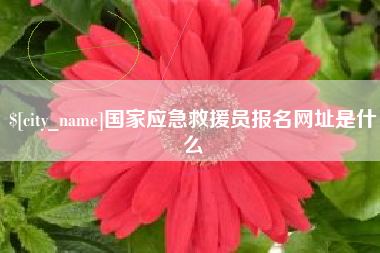 迪庆国家应急救援员报名网址是什么