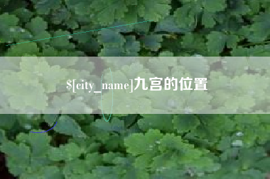 迪庆九宫的位置