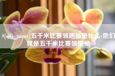 迪庆五千米比赛领跑员是什么-他们就是五千米比赛领跑员