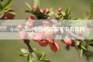 迪庆中国消防报考中心官网