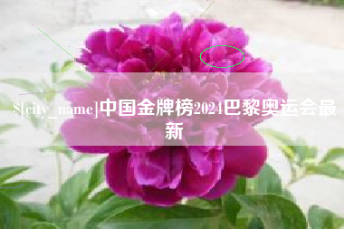 迪庆中国金牌榜2024巴黎奥运会最新