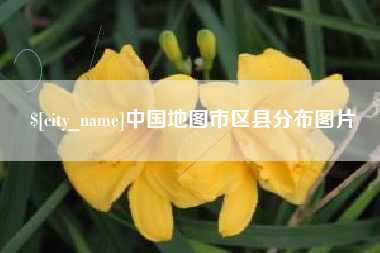 迪庆中国地图市区县分布图片