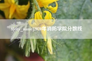 迪庆2020年消防学院分数线