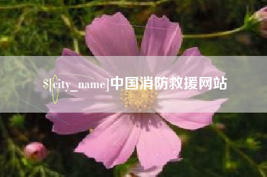迪庆中国消防救援网站
