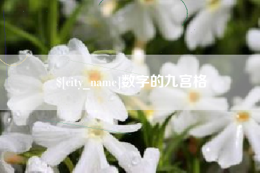 迪庆数字的九宫格