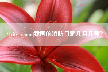 迪庆我国的消防日是几月几号？
