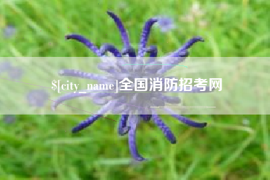 迪庆全国消防招考网