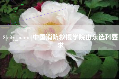 迪庆中国消防救援学院山东选科要求