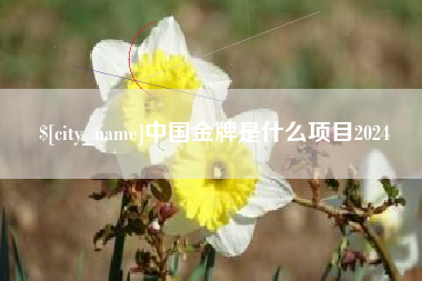 迪庆中国金牌是什么项目2024