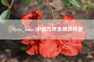 迪庆中国九枚金牌获得者