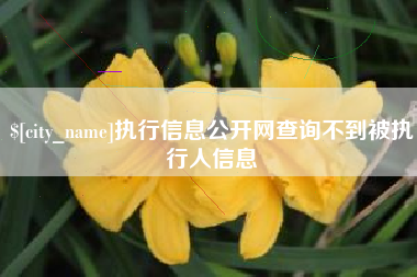 迪庆执行信息公开网查询不到被执行人信息