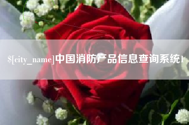 迪庆中国消防产品信息查询系统1