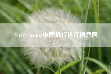 迪庆中国执行执行信息网