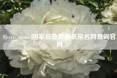 迪庆国家应急救援员报名网查询官网