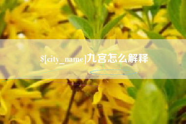 迪庆九宫怎么解释