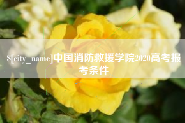 迪庆中国消防救援学院2020高考报考条件
