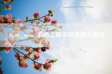 迪庆消防工程学校录取分数线