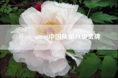迪庆中国队第八块金牌