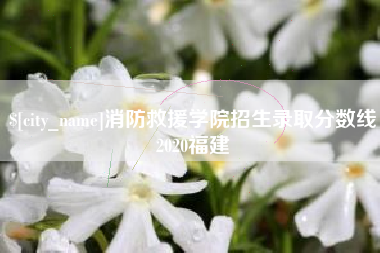 迪庆消防救援学院招生录取分数线2020福建