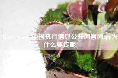 迪庆中国执行信息公开网官网app为什么要钱呢