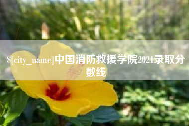 迪庆中国消防救援学院2021录取分数线