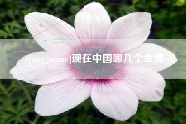 迪庆现在中国哪几个金牌