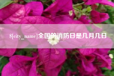迪庆全国的消防日是几月几日