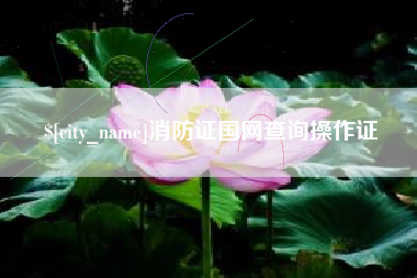 迪庆消防证国网查询操作证