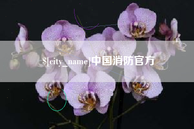 迪庆中国消防官方