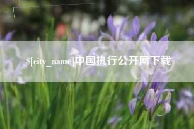 迪庆中国执行公开网下载