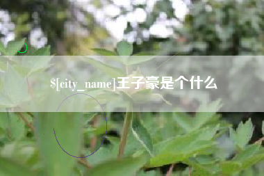 迪庆王子豪是个什么
