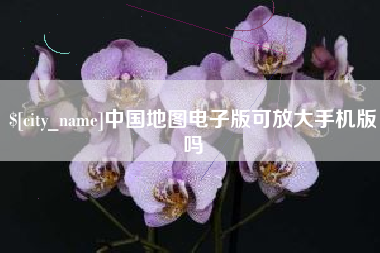 迪庆中国地图电子版可放大手机版吗
