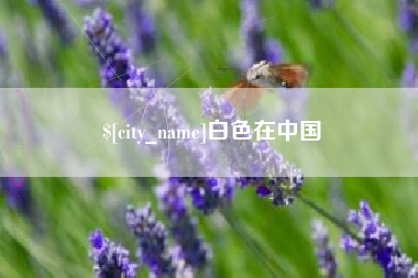 迪庆白色在中国
