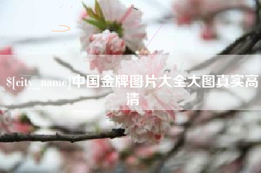 迪庆中国金牌图片大全大图真实高清